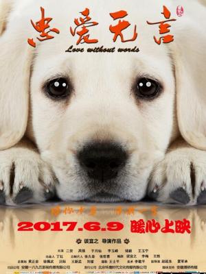 山谷来信 影片封面